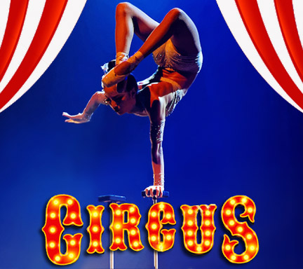 Soirée thème Circus Cirque