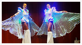 Echassiers ailes LED