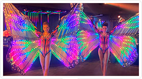 Accueil Papillons LED multicouleurs